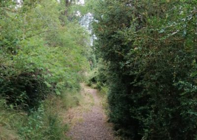 MARXA2019-07-14PM_11
